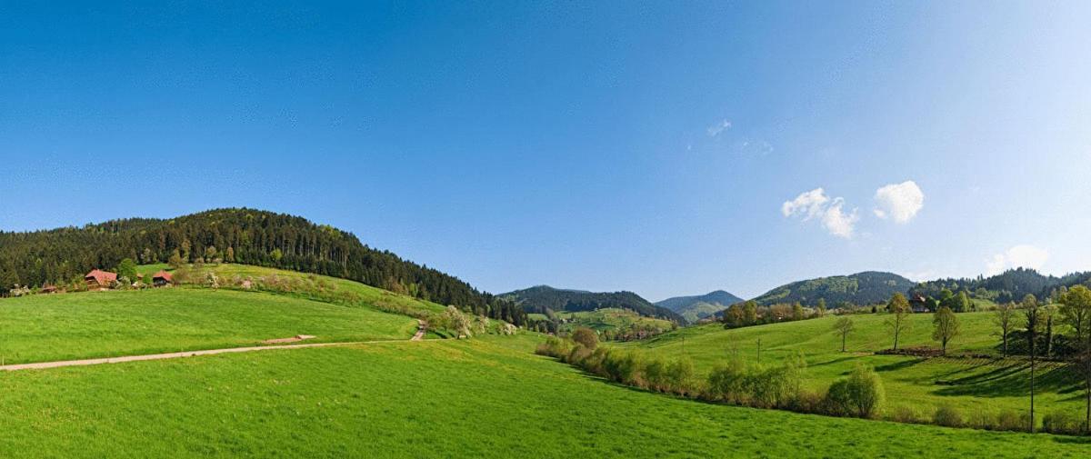 Hotel Fuxxbau Fischerbach Екстер'єр фото